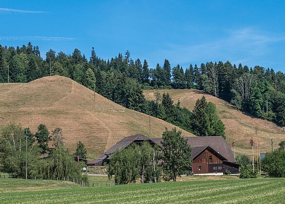 Die Südhänge der Eggen im Napfgebiet sind staubtrocken.