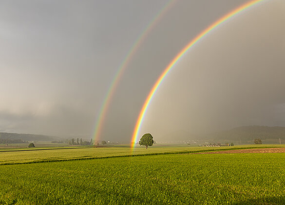 Ein leuchtender Regenbogen ...