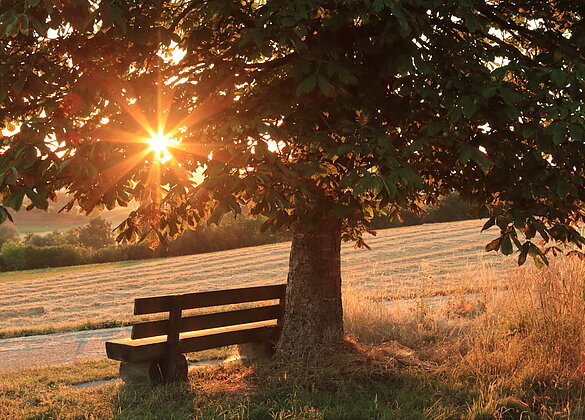 Die Sonnenaufgänge sind immer wieder schön anzusehen