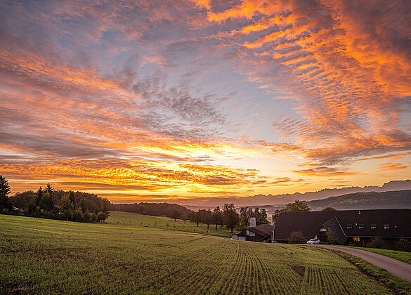 Kitschiges Morgenrot über Wauwil!
