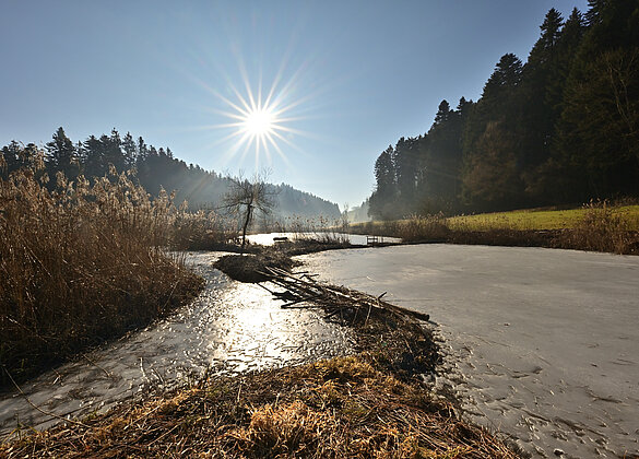 Die kalte Nacht prägt den Morgen in einer schönen Stimmung