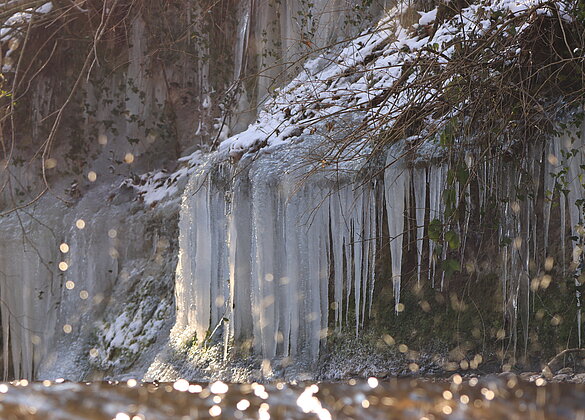 Eis- soweit das Auge reicht