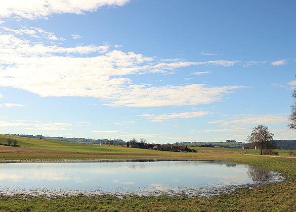 Die Landschaft präsentiert sich im besten Licht