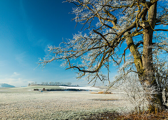 Winterliches Stimmungsbild