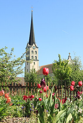 Sonniger Frühlingstag