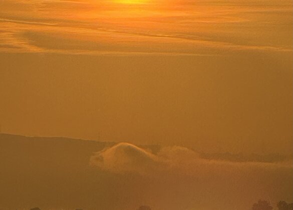 Morgenstimmung