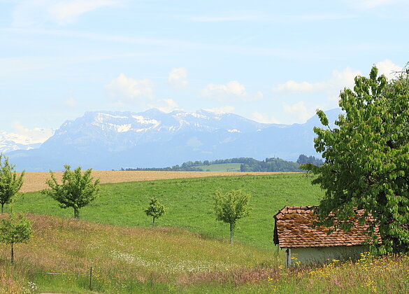 Durch die sommerliche Landschaft