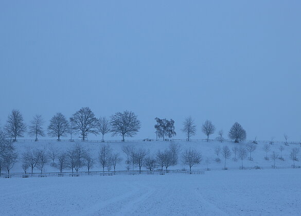 Die Landschaft ist in weiss gehüllt