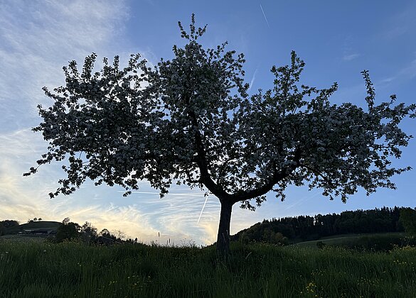 marita.kurmann@gmail.com