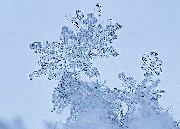 wunderschöne Schneekristalle..und das im März