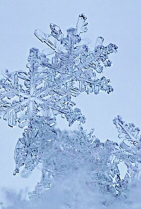 wunderschöne Schneekristalle..und das im März