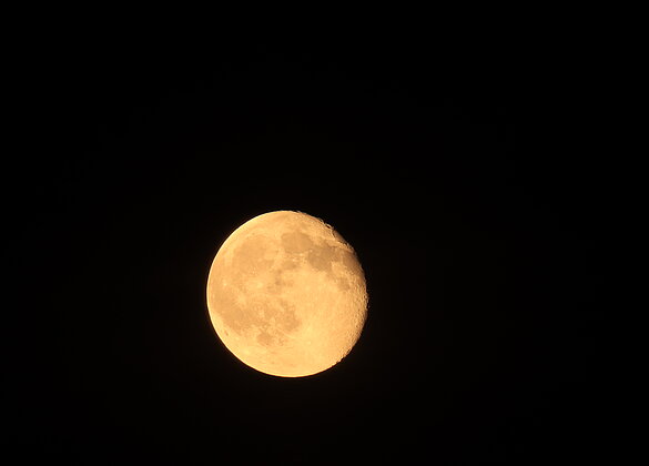 Der Mond erhellt die Nacht