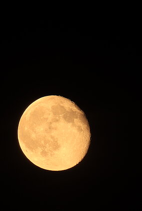 Der Mond erhellt die Nacht