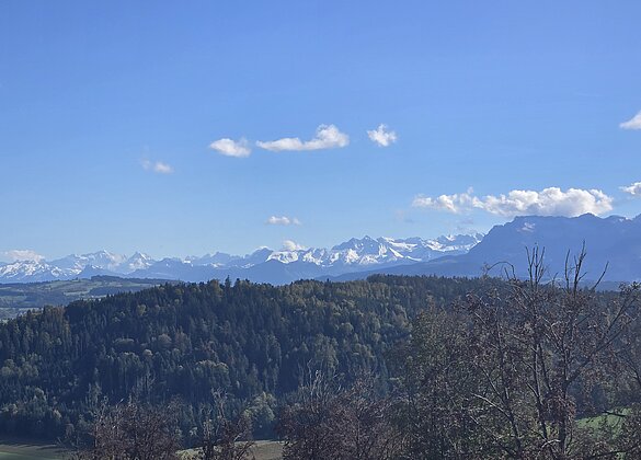Schöne Aussichten.