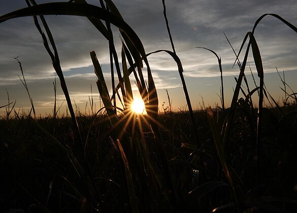 Sonnenuntergang