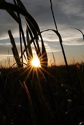 Sonnenuntergang