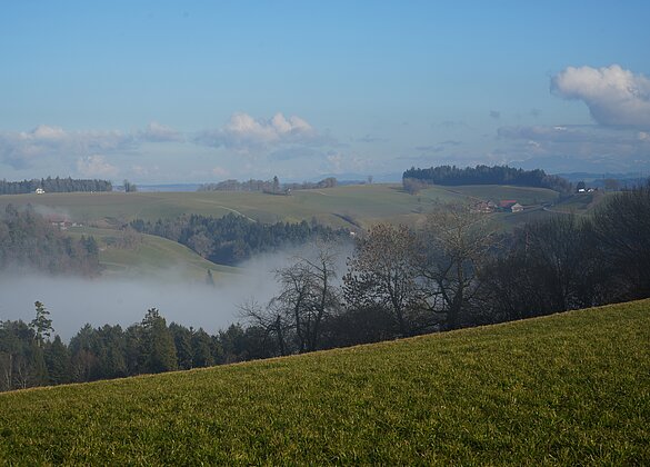 Nebelschwaden streichen durchs Rottal