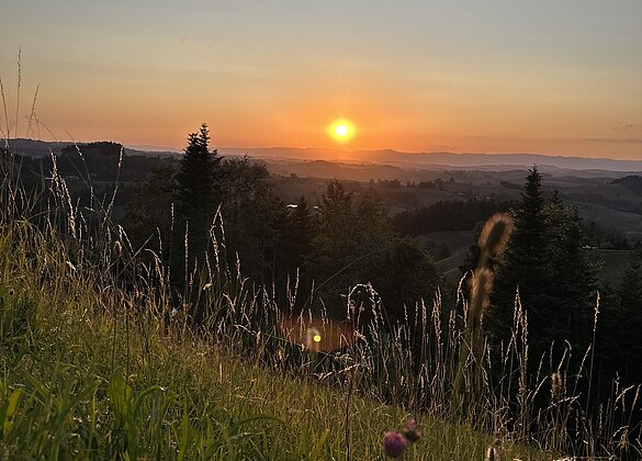 Sonntenuntergang auf dem Menzberg
