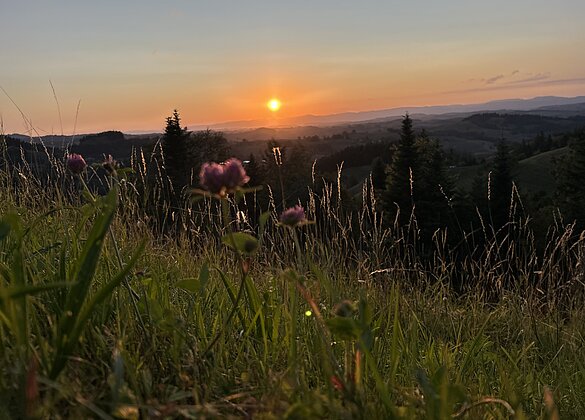 Sonntenuntergang auf dem Menzberg