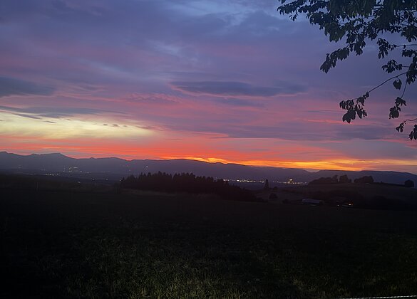 Einer diesen schönen Momente in der Natur…