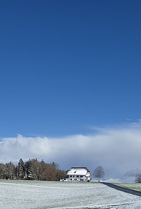 Der Winter kam zurück