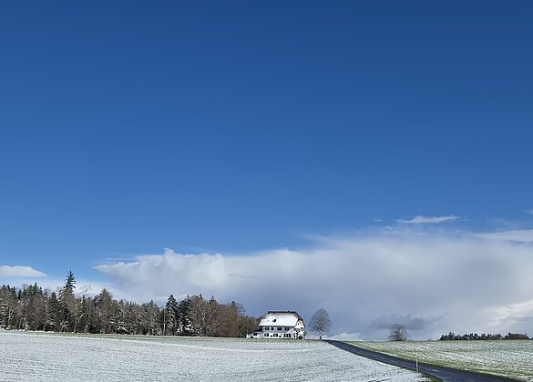 Der Winter kam zurück