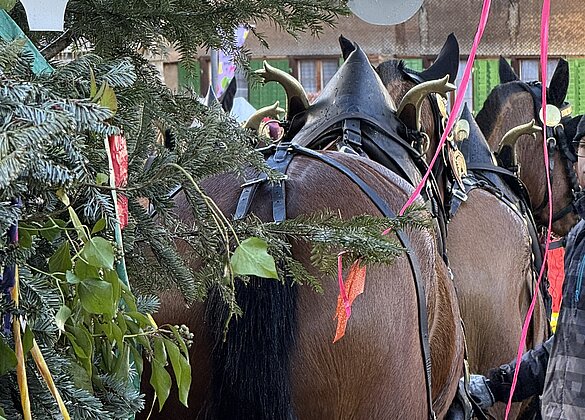 Schleipfgrende Luthern