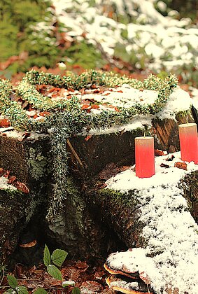 2. Advent - Schritt für Schritt Weihnachten 2025 entgegen