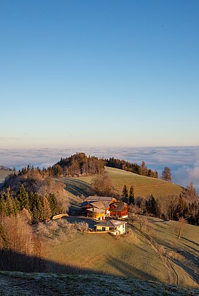 Die ersten Sonnenstrahlen streifen über das Nebelmeer.....