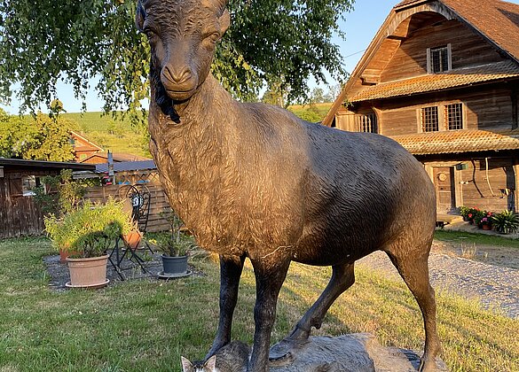 Wenn Büsi Mary in der Abendsonne mit Steinbock Lukas flirtet