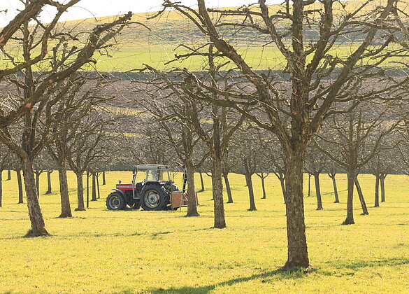 Die Landwirte sind mit Feldarbeit zugange