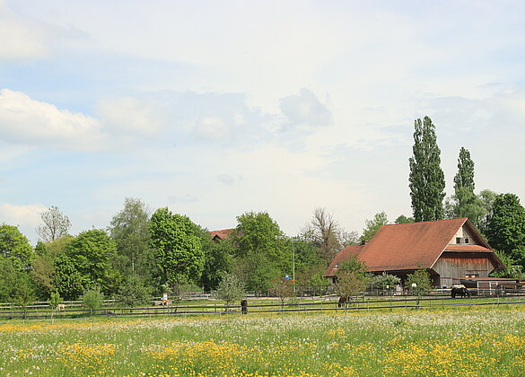 Frühlingsidylle auf dem Land
