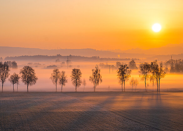 Ein frostig, nebliger Sonnenaufgang!