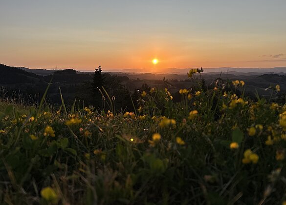 Sonntenuntergang auf dem Menzberg