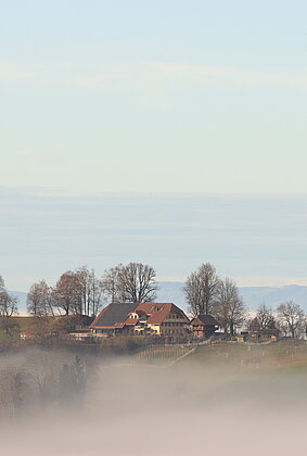 Knapp geschafft- über der Nebelgrenze