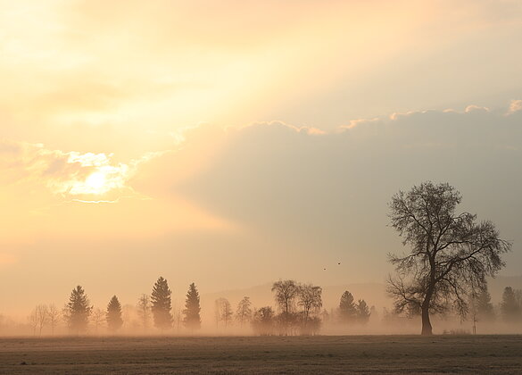 Die Sonne kämpft sich durch den Nebel