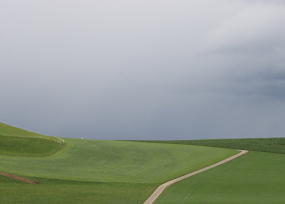Bevor der Regen kommt noch auf einen Verdauungsspaziergang