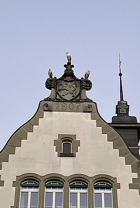 Schlafende Störche