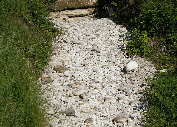 Hitzespuren, ausgetrocknetes Bachbett in Luthern Bad