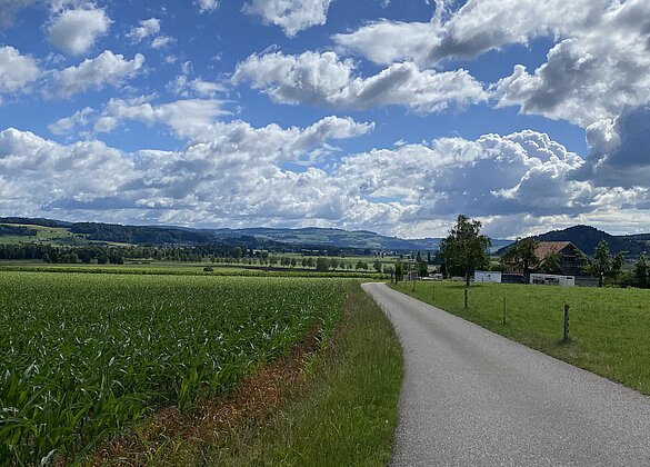 Wauwilermoos