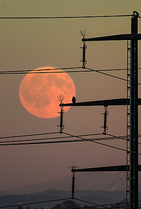 Vollmond über dem Hinterland