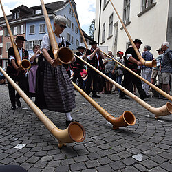 147109_147111.jpeg