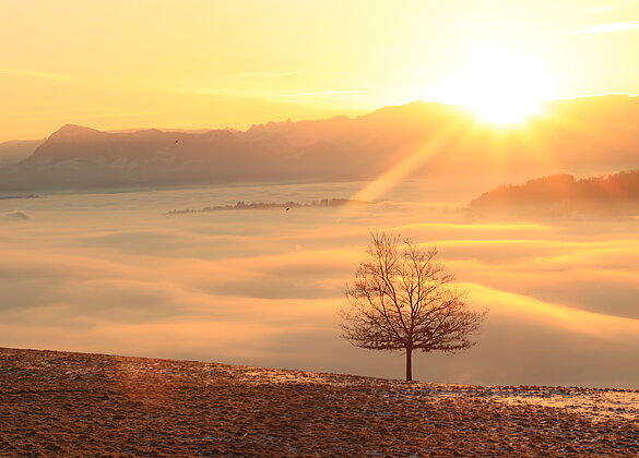 Sonnenaufgang über dem Nebelmeer