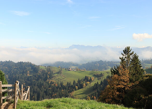 Der Nebel umschmeichelt die Pilatuskette