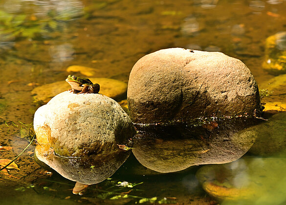 Sich spiegeln lassen ist einfach toll!!