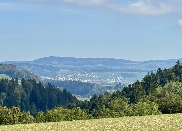 Von der Stocki in Richtung Wauwil