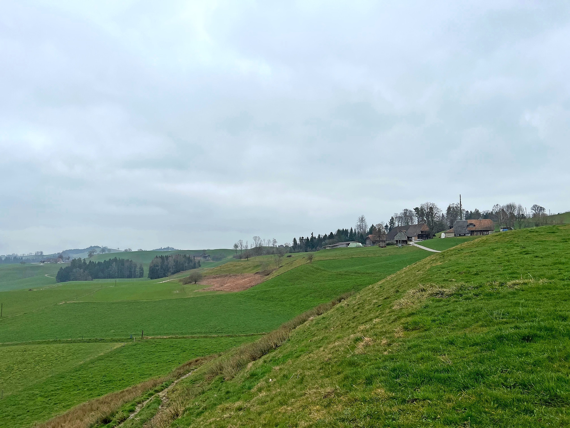 118130_118132.jpeg