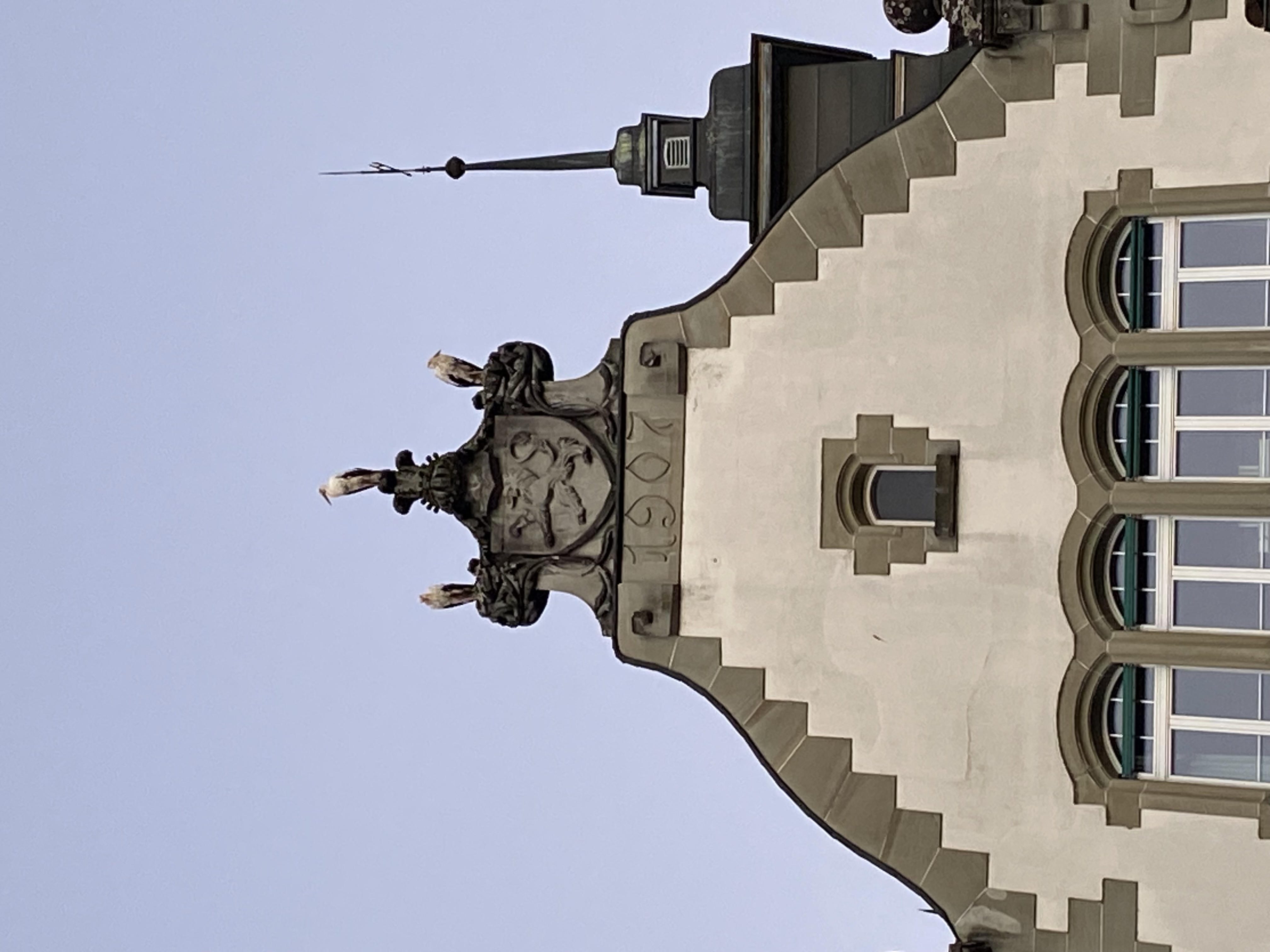 Schlafende Störche