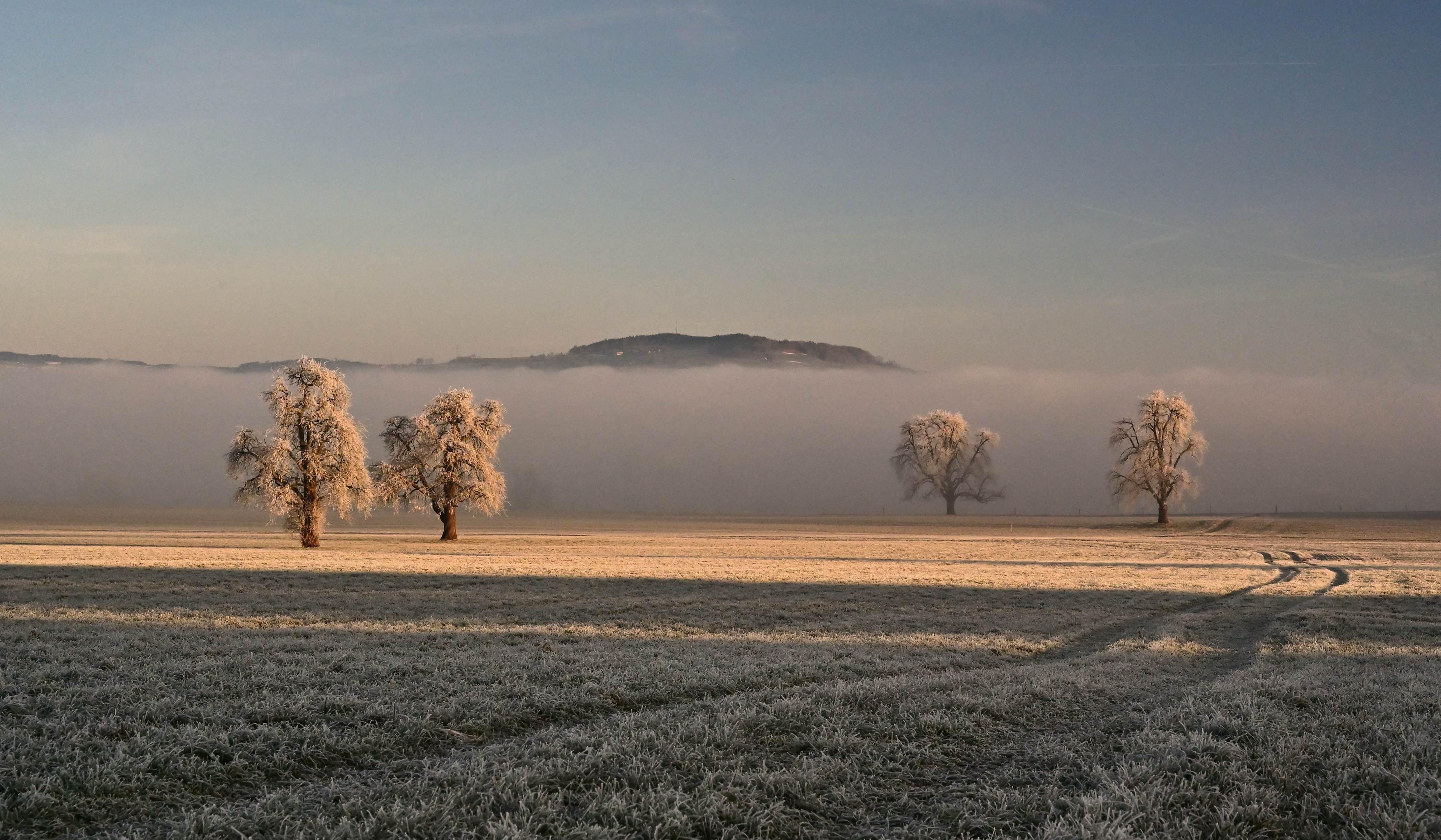 Ein herrlich verzuckerten Morgen
