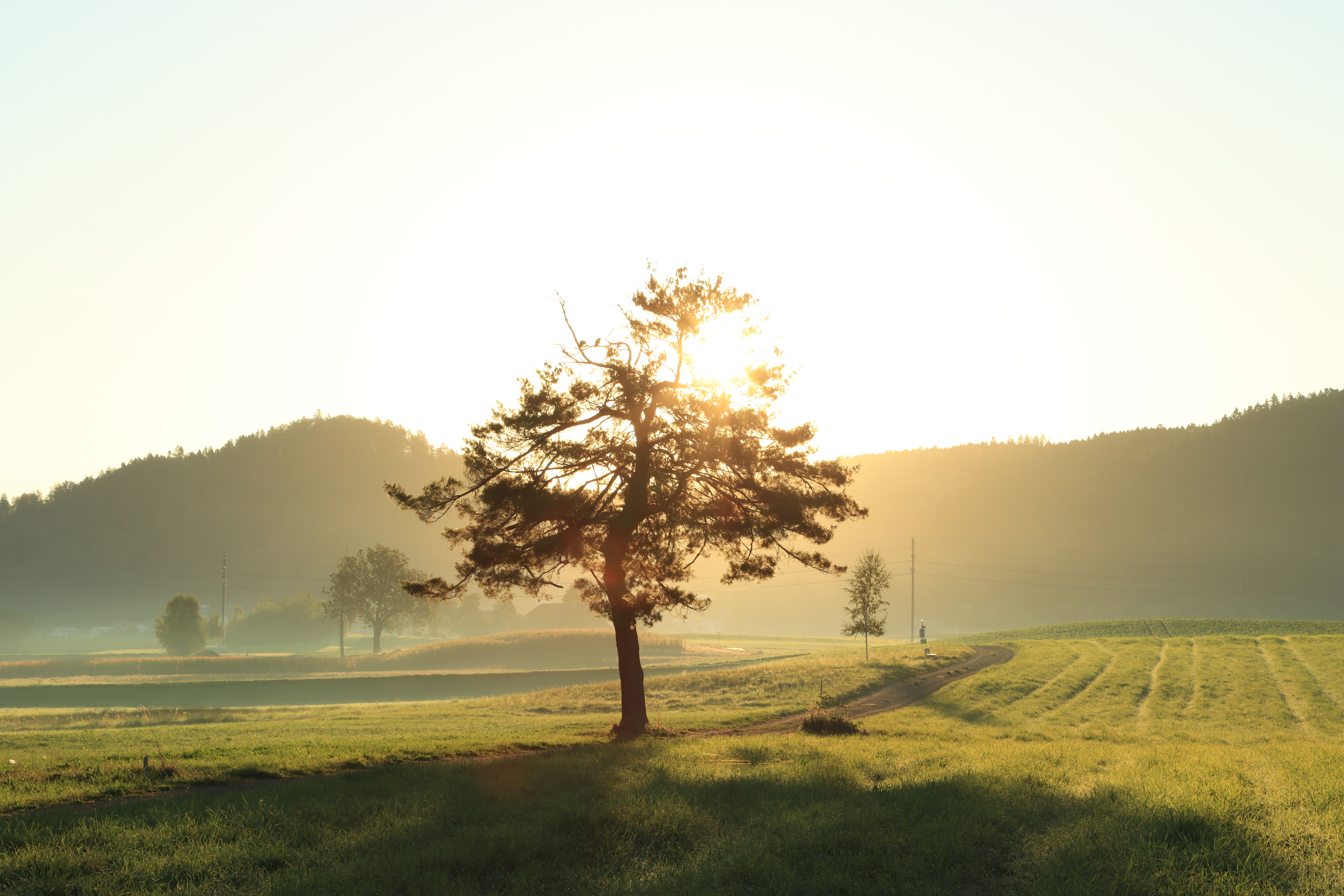 Für mich gilt der frühe Morgen "in der Ruhe liegt die Kraft"